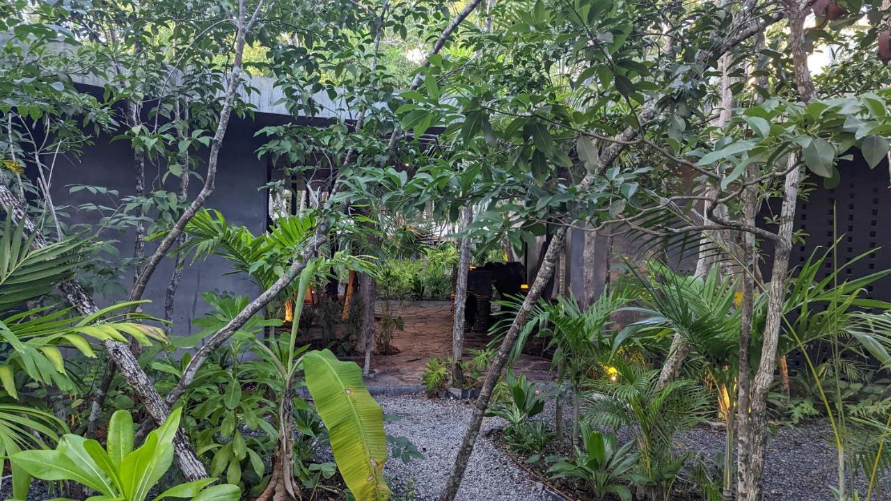 Exclusive Penthouse By Famous Interior Designer By Yeah Apartment Tulum Exterior foto