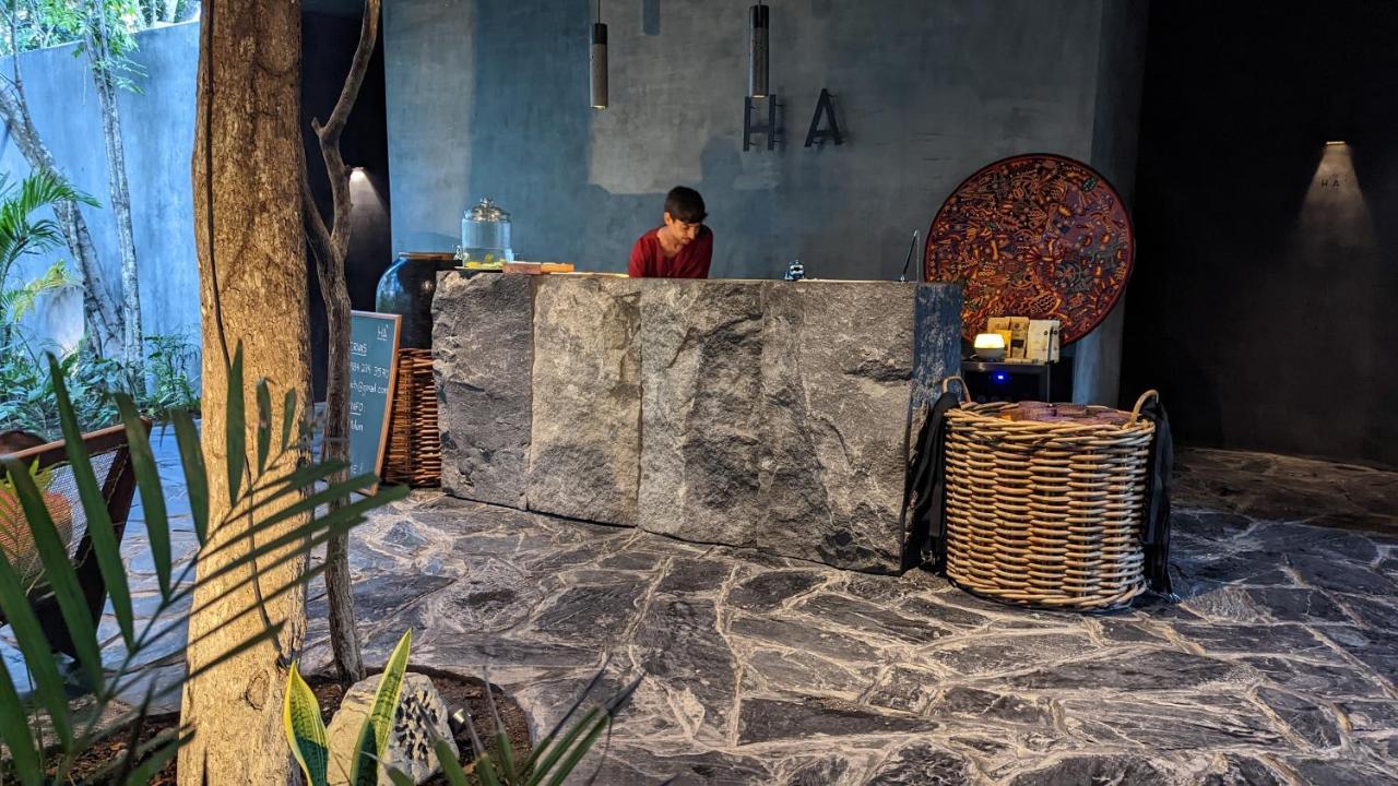 Exclusive Penthouse By Famous Interior Designer By Yeah Apartment Tulum Exterior foto